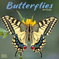 Avonside Kalender 27 Butterflies as