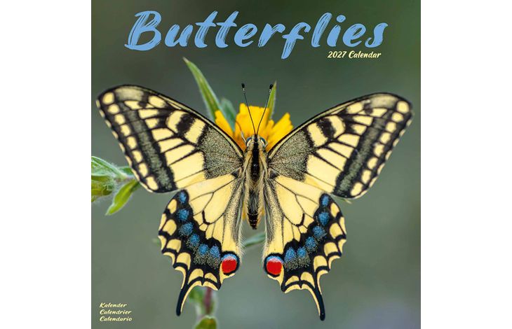 Avonside Kalender 27 Butterflies as