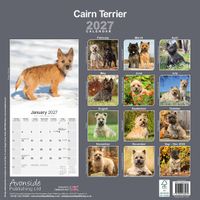 Avonside Kalender 27 Cairn Terriers as