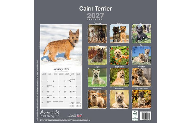 Avonside Kalender 27 Cairn Terriers as