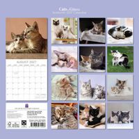 The Gifted Stationery Kalender 27 Cat & Kittens gtd