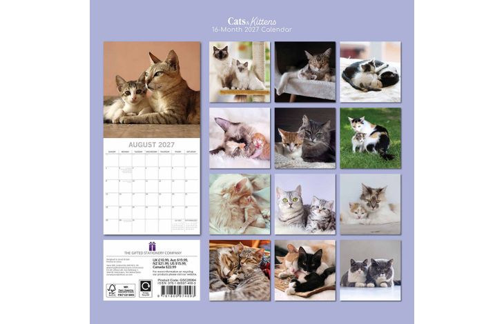 The Gifted Stationery Kalender 27 Cat & Kittens gtd