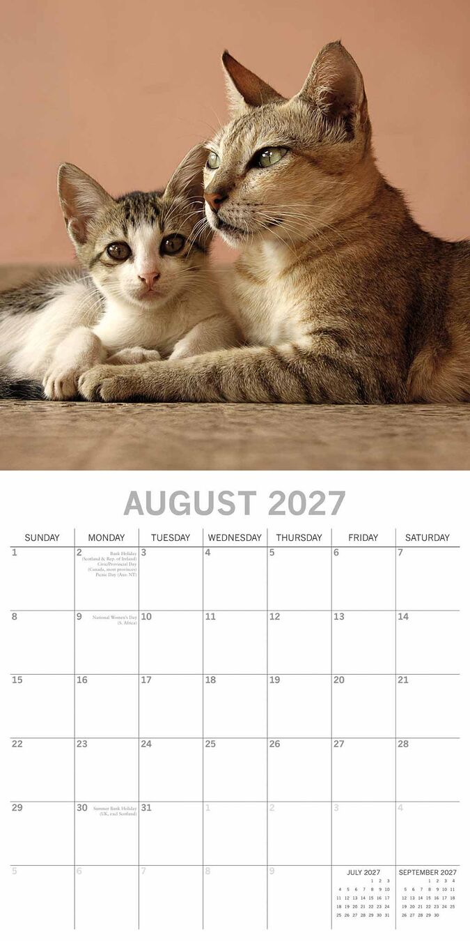 The Gifted Stationery Kalender 27 Cat & Kittens gtd