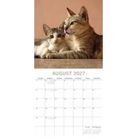 The Gifted Stationery Kalender 27 Cat & Kittens gtd
