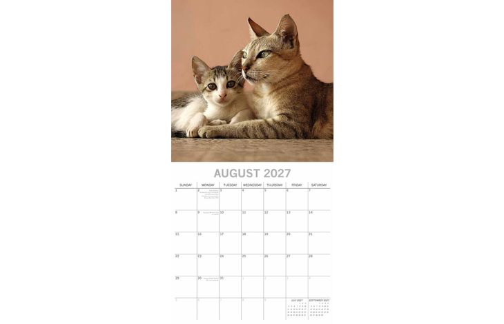 The Gifted Stationery Kalender 27 Cat & Kittens gtd
