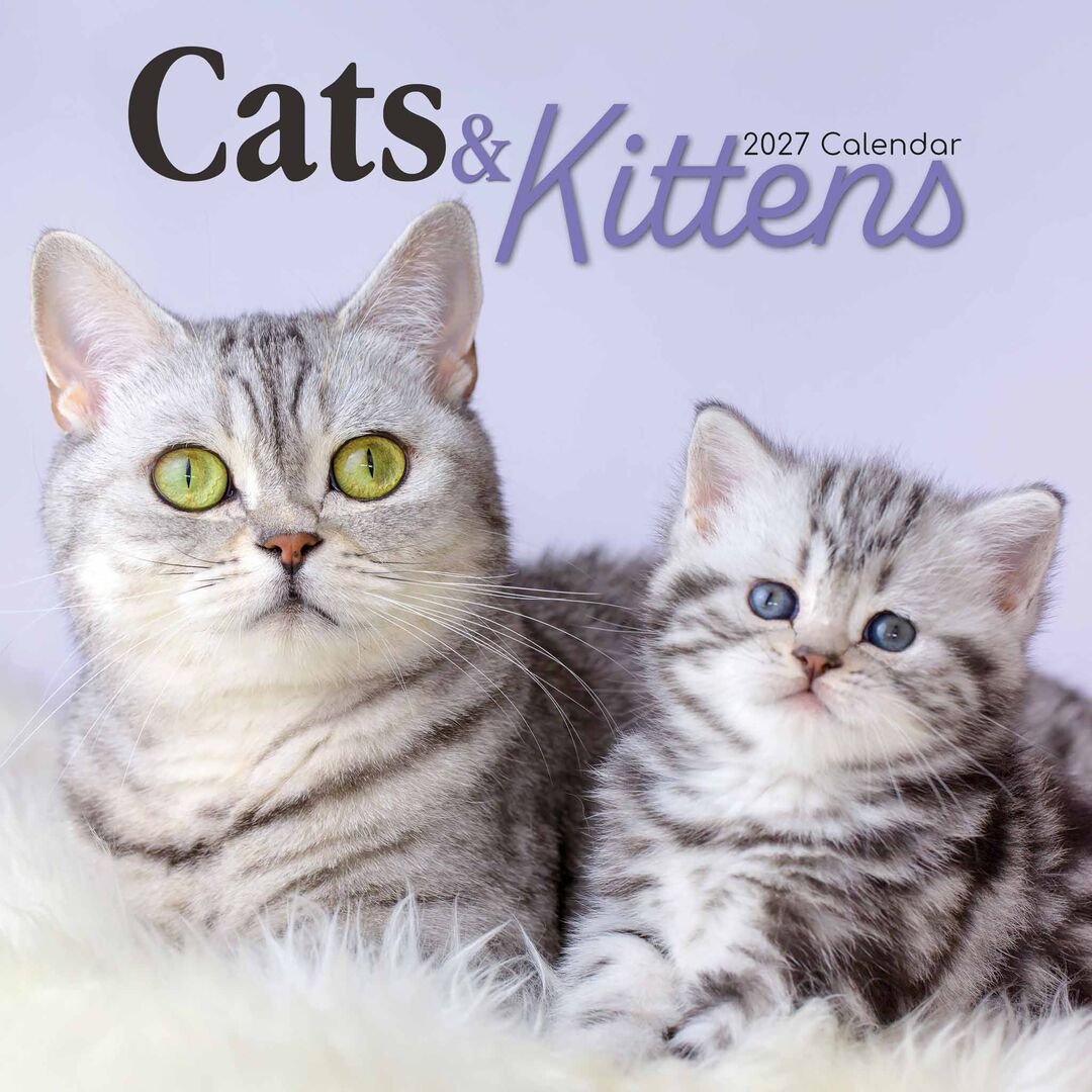 The Gifted Stationery Kalender 27 Cat & Kittens gtd