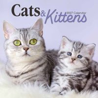 The Gifted Stationery Kalender 27 Cat & Kittens gtd