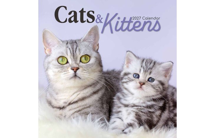 The Gifted Stationery Kalender 27 Cat & Kittens gtd