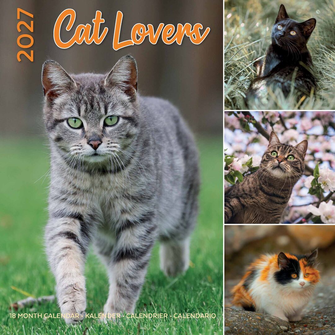 Plenty Gifts Kalender 27 Cat Lovers pg