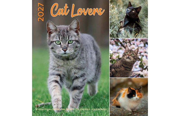 Plenty Gifts Kalender 27 Cat Lovers pg