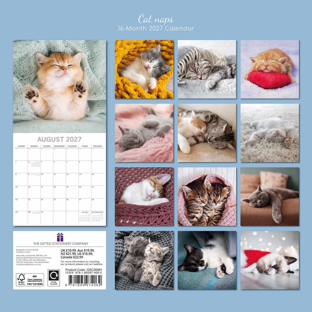 The Gifted Stationery Kalender 27 Cat Naps gtd