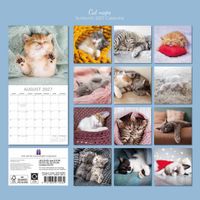 The Gifted Stationery Kalender 27 Cat Naps gtd