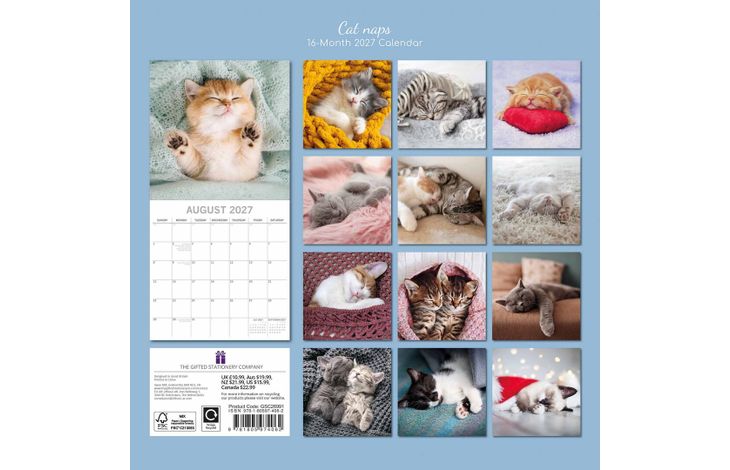 The Gifted Stationery Kalender 27 Cat Naps gtd