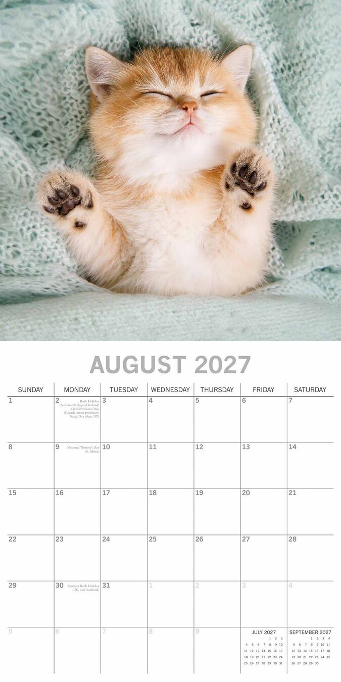 The Gifted Stationery Kalender 27 Cat Naps gtd