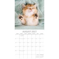 The Gifted Stationery Kalender 27 Cat Naps gtd