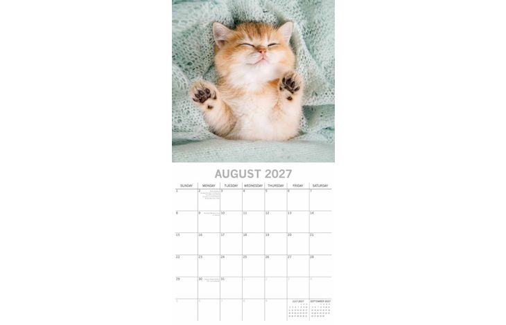 The Gifted Stationery Kalender 27 Cat Naps gtd