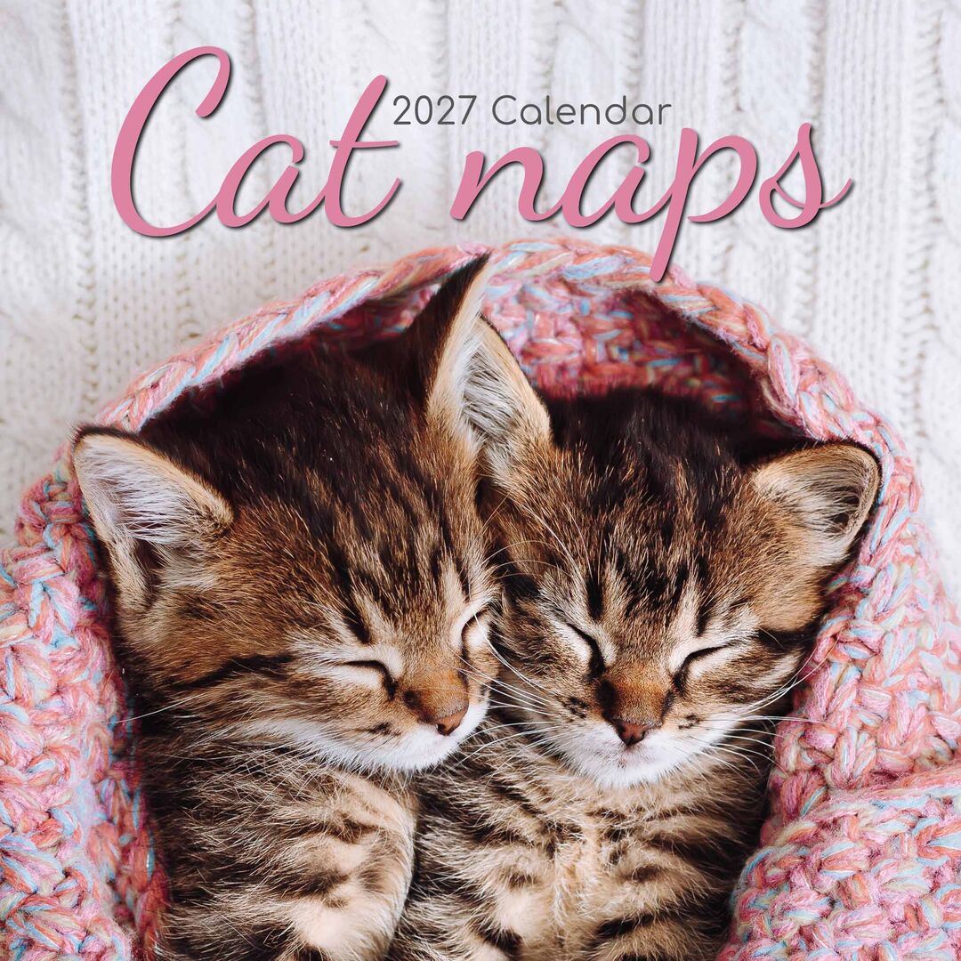 The Gifted Stationery Kalender 27 Cat Naps gtd