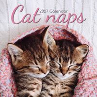 The Gifted Stationery Kalender 27 Cat Naps gtd