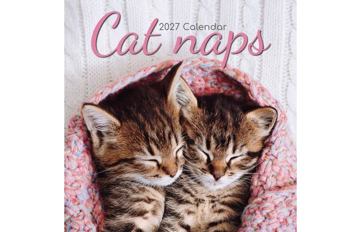 The Gifted Stationery Kalender 27 Cat Naps gtd
