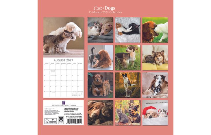 The Gifted Stationery Kalender 27 Cats & Dogs gtd