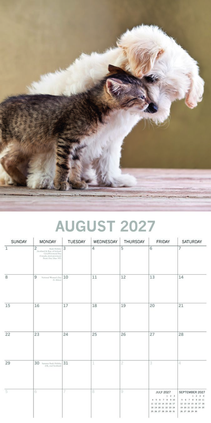 The Gifted Stationery Kalender 27 Cats & Dogs gtd