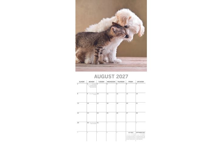 The Gifted Stationery Kalender 27 Cats & Dogs gtd