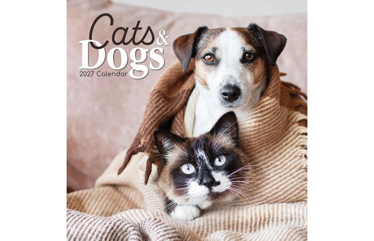 The Gifted Stationery Kalender 27 Cats & Dogs gtd