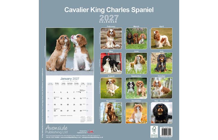 Avonside Kalender 27 Cavalier KC as