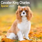 Kalender 27 Cavalier KC as