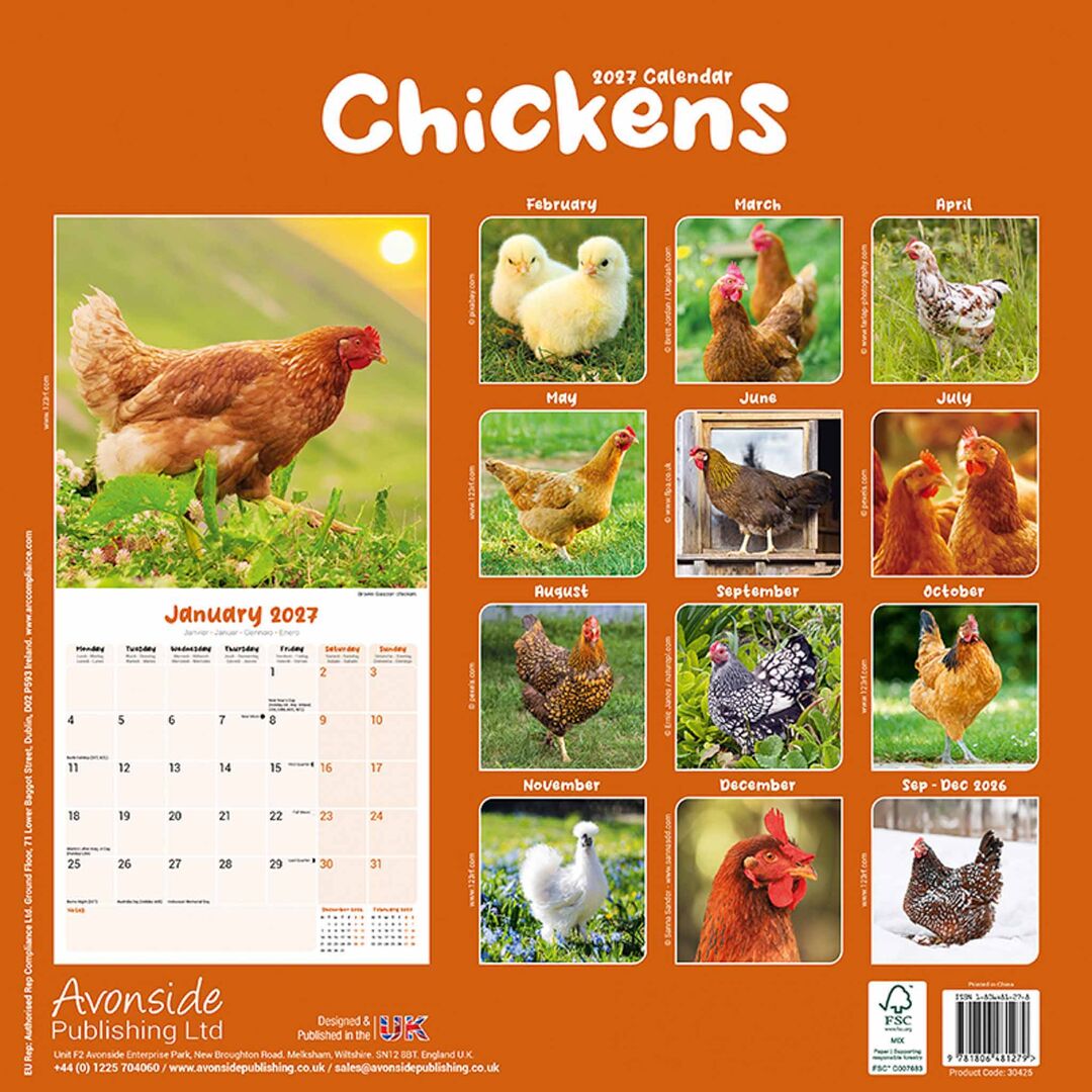 Avonside Kalender 27 Chickens as