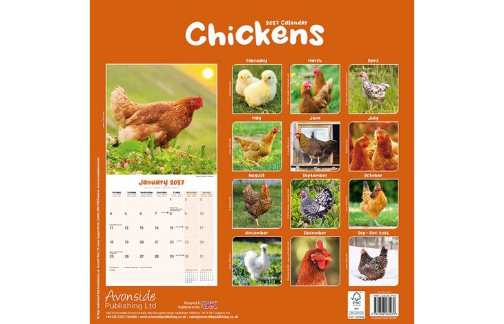 Avonside Kalender 27 Chickens as