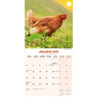 Avonside Kalender 27 Chickens as