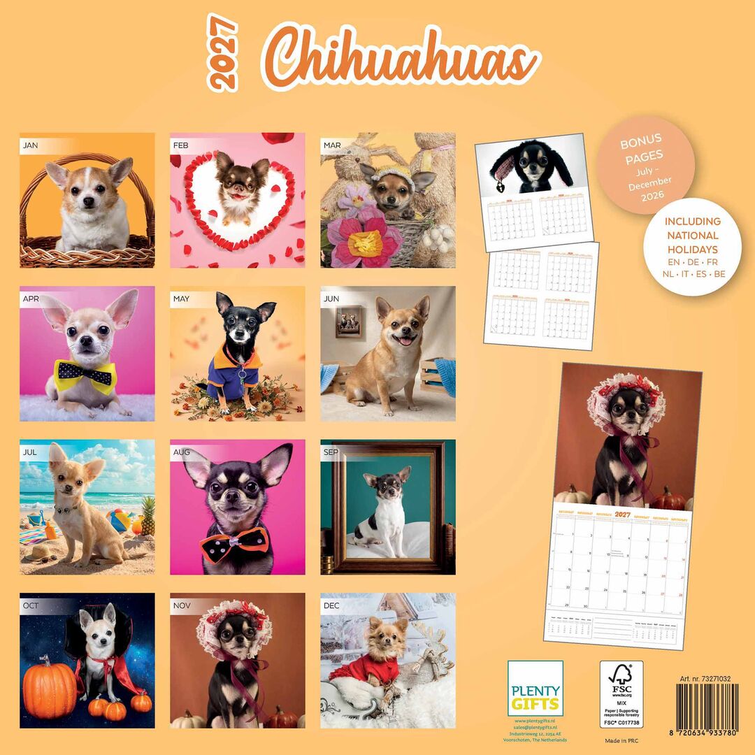 Plenty Gifts Kalender 27 Chihuahuas Studio pg