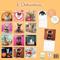Plenty Gifts Kalender 27 Chihuahuas Studio pg