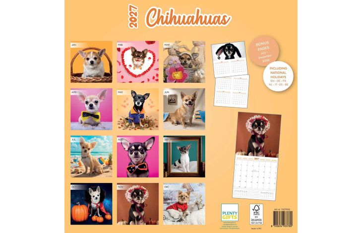 Plenty Gifts Kalender 27 Chihuahuas Studio pg