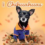 Kalender 27 Chihuahuas Studio pg