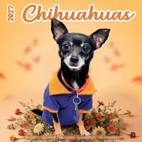 Plenty Gifts Kalender 27 Chihuahuas Studio pg