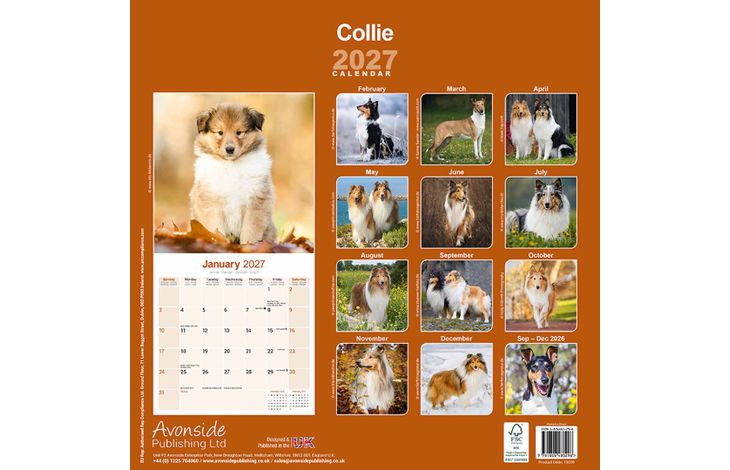 Avonside Kalender 27 Collies as