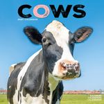 Kalender 27 Cows as