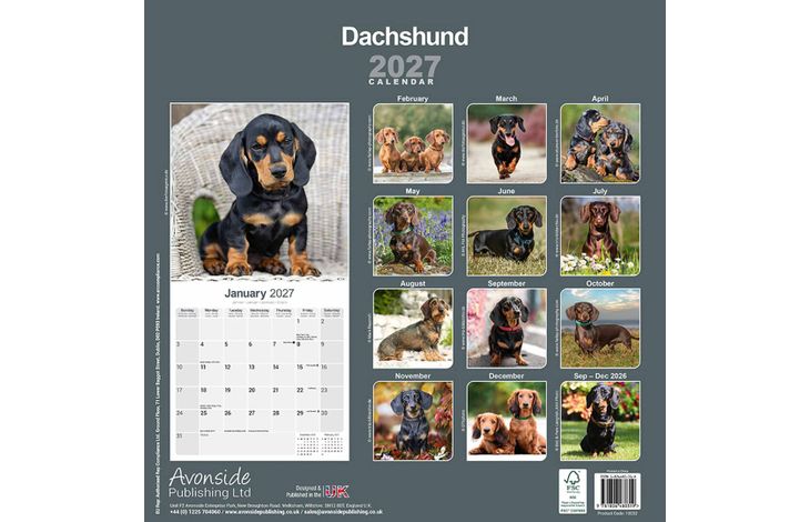 Avonside Kalender 27 Dachshunds as