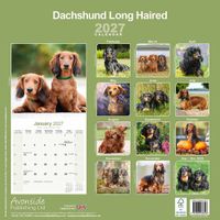 Avonside Kalender 27 Dachshunds Long as