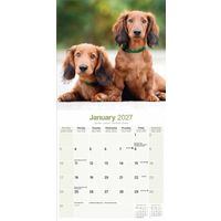 Avonside Kalender 27 Dachshunds Long as