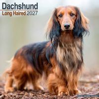 Avonside Kalender 27 Dachshunds Long as