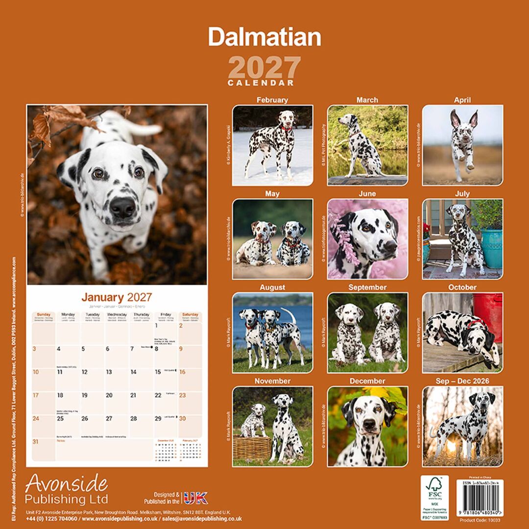 Avonside Kalender 27 Dalmatians as