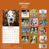 Avonside Kalender 27 Dalmatians as