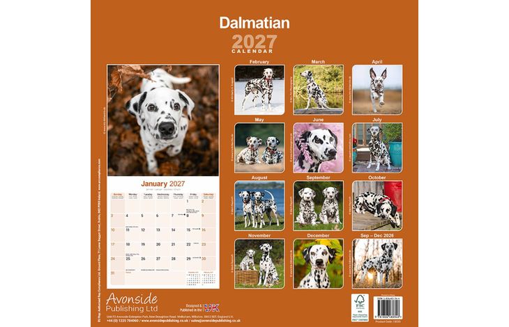 Avonside Kalender 27 Dalmatians as