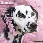 Kalender 27 Dalmatians as