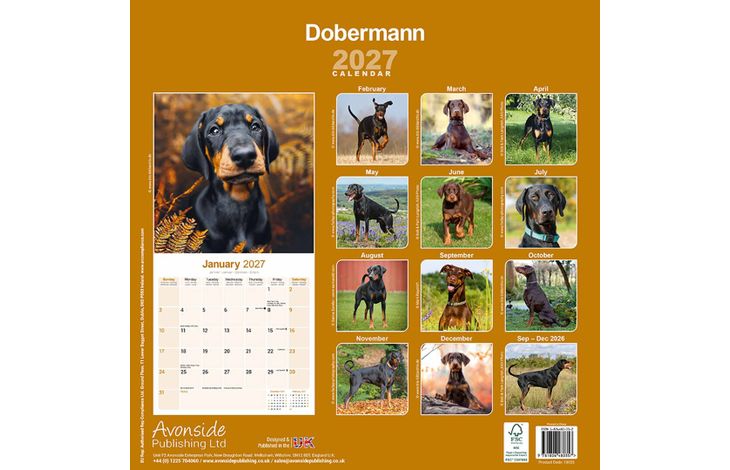 Avonside Kalender 27 Dobermans as