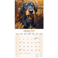 Avonside Kalender 27 Dobermans as