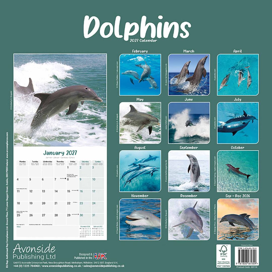 Avonside Kalender 27 Dolphins as